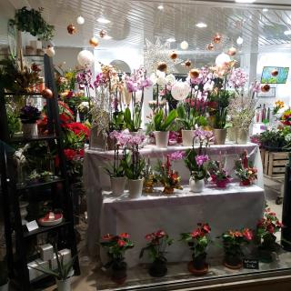 Fleuriste Clotilde Fleurs, Maisons-Alfort 1