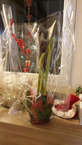 Fleuriste Fleurs Story 0