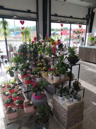 Fleuriste Envie de fleurs Richemont 0