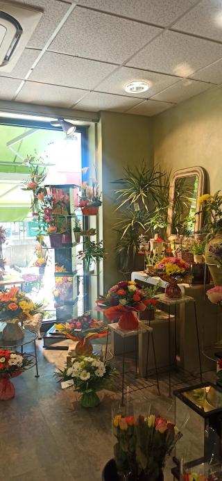 Fleuriste Les Jardins de Gribouille 1