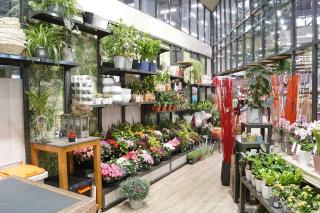 Fleuriste Les Fleurs Quai 29 1