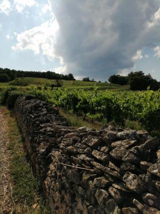 Fleuriste LES BOUQUETS DE PARSONGE 0
