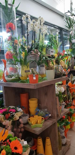 Fleuriste Juste une Fleur 0