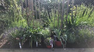 Fleuriste Côté Fleurs Côté Jardin 0