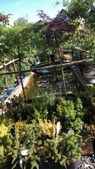 Fleuriste Côté Fleurs Côté Jardin 0