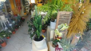 Fleuriste FLEURS PASSION 1