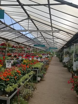 Fleuriste Truffaut Petruccioli 0