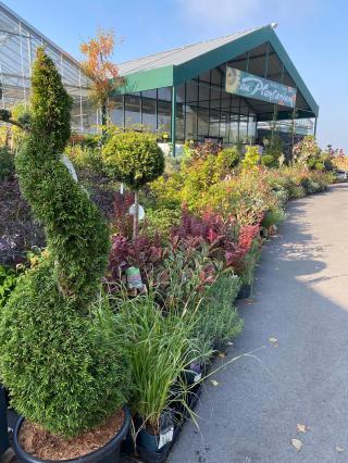 Fleuriste Au Plantarium 1