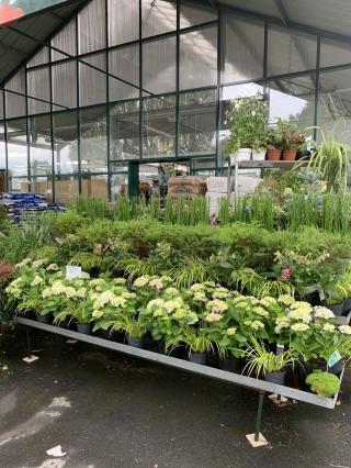 Fleuriste Au Plantarium 0