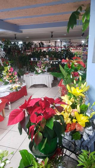 Fleuriste Art Déco Fleurs 0