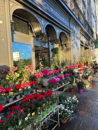 Fleuriste Eglantine - Fleuriste Chinon 0