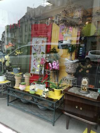Fleuriste La Rose Rouge 2