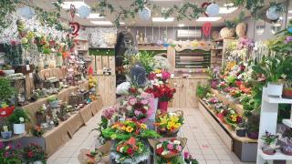 Fleuriste Et Fleurs Et Senteurs 1