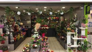 Fleuriste Et Fleurs Et Senteurs 2