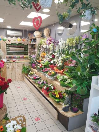 Fleuriste Et Fleurs Et Senteurs 0