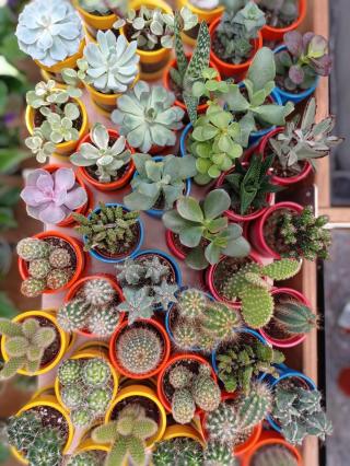 Fleuriste E.Leclerc Jardi 0