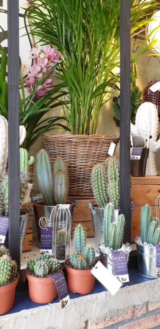 Fleuriste Fleurs de Saison 0