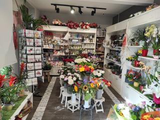 Fleuriste Anis & Bergamote 1