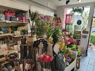 Fleuriste Anis & Bergamote 2