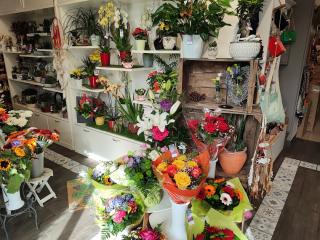 Fleuriste Anis & Bergamote 0