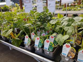 Fleuriste Truffaut 0