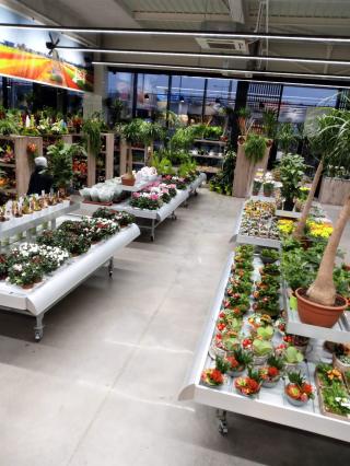 Fleuriste Le Temple de la Fleur Douai 0