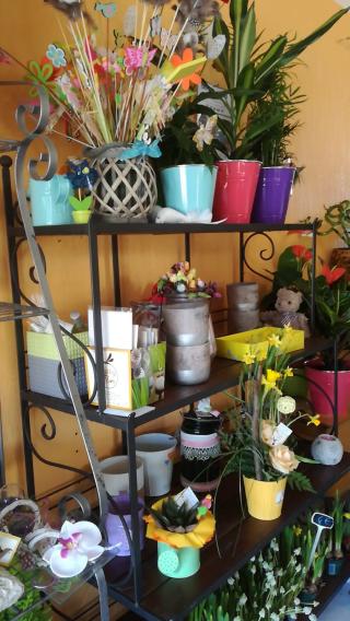 Fleuriste CATHY _ FLORE 0