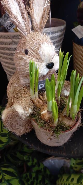 Fleuriste Mil'flore 0