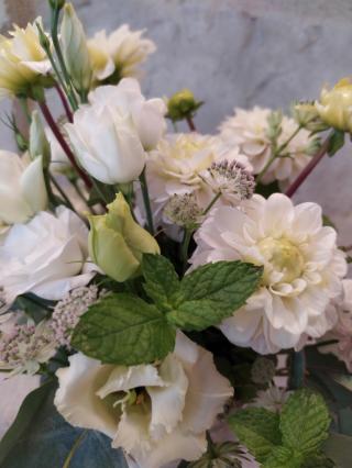 Fleuriste Fleur de Lys 2