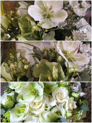 Fleuriste Fleur de Lys 0