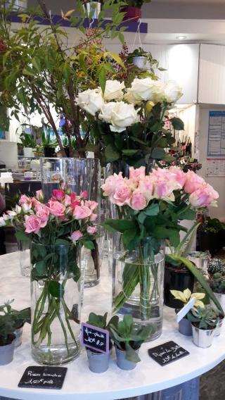 Fleuriste POTHY FLEURISTE 0