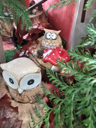 Fleuriste EYRAUD FLEURS (Art Floral) 0