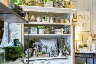 Fleuriste Le Jardin de Camille 0