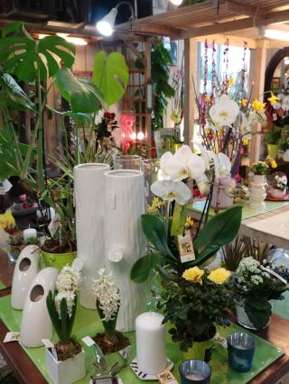 Fleuriste Acacia Fleurs et Cannelle 0