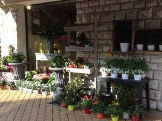 Fleuriste Le Jardin de Saint-Augustin 0