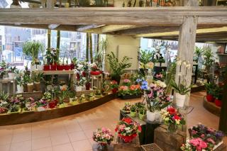Fleuriste Fleurs Jehl 0