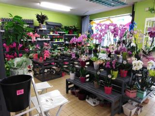 Fleuriste SYLVIE FLEURS 0