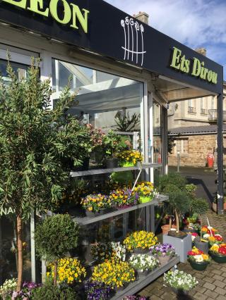 Fleuriste Fleurs Du Léon Sarl 0