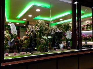 Fleuriste Avec des Fleurs 1