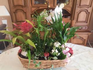 Fleuriste BORG FLEURS 0