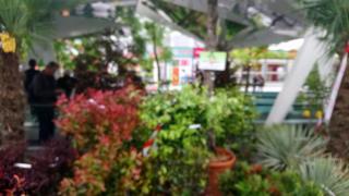 Fleuriste GREEN Rungis 2