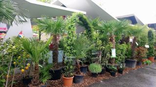 Fleuriste GREEN Rungis 0