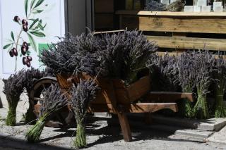 Fleuriste Magnan.L Producteur Miel Aux Fleurs De Lavande 0