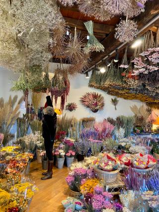 Fleuriste Fleurs séchées de Bayet 1