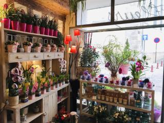 Fleuriste Saveur Jardin 1