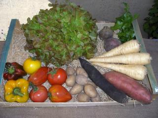 Fleuriste Noirmoutier legumes vente directe producteur 0