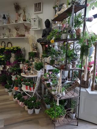 Fleuriste Pois de Senteur 0