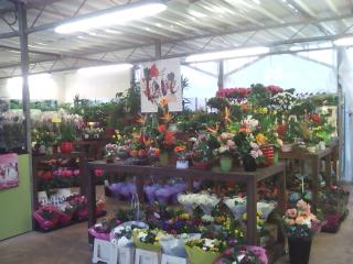 Fleuriste Green Love Valenciennes 1