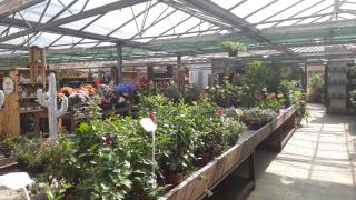 Fleuriste Green Love Valenciennes 0