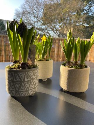 Fleuriste Jour J l'atelier 0